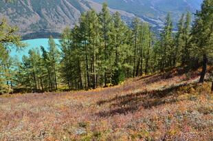 山林湖畔秋日美景