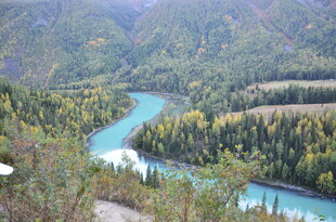 山间蓝河与多彩树林景观