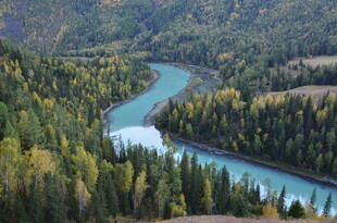 山间蜿蜒河流与葱郁森林