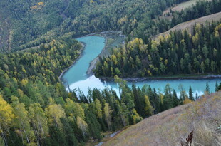 山间蜿蜒的碧绿河流