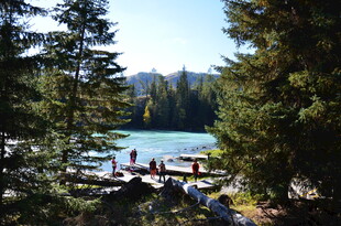 湖畔森林美景 游人休憩处
