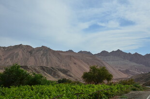 山间绿意与远处山脉景观