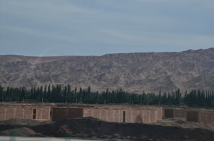 沙漠边的古朴建筑景观