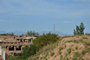 荒废建筑旁的土坡与绿植