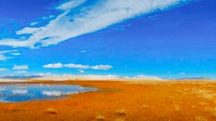 蓝天黄土地上的静谧水域