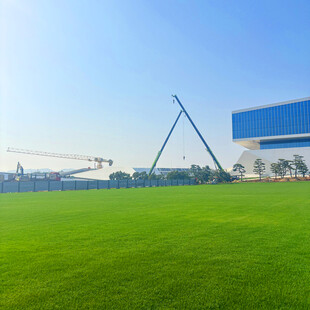 户外开阔绿草地与建筑景观