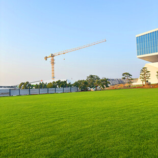 城市绿地旁的建筑施工场景