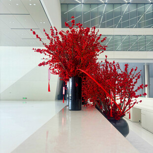 室内红枝装饰景观