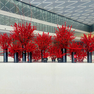 冬日红树映现代建筑