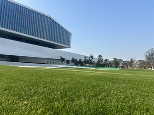 现代建筑前的翠绿草坪