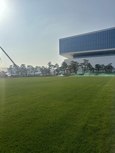 现代建筑旁的开阔绿茵场地