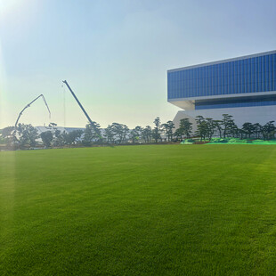 现代建筑旁的翠绿草坪