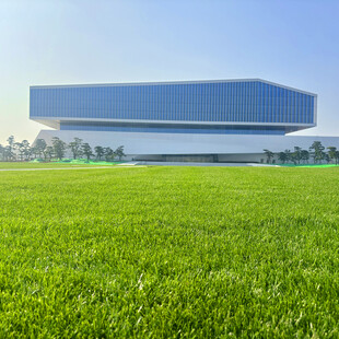 绿草如茵前的现代建筑