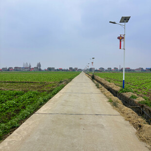 乡村田间水泥路与太阳能灯