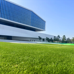 现代建筑前的翠绿草坪