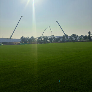 绿茵场地与远处建筑景观