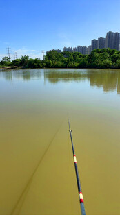湖畔垂钓景