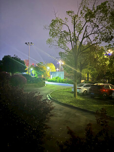 夜晚小区道路及周边景象