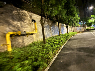 夜晚小路旁的绿植与管道
