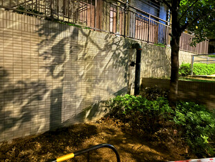 墙边绿植与施工场景