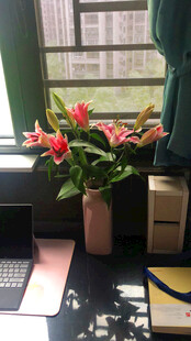 窗边花瓶中的艳丽花卉