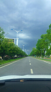 车内视角的阴沉道路景象