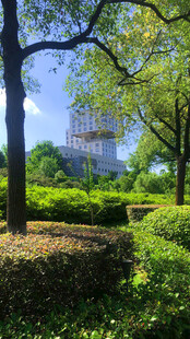 城市中的静谧绿意园林