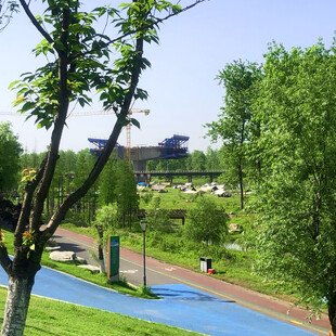 城市公园绿意盎然的景致