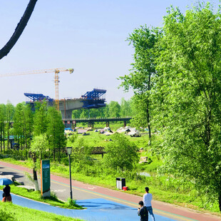 城市公园中的休闲活力场景