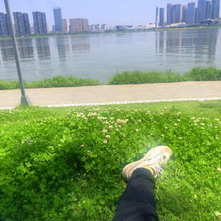 湖畔草地休憩的惬意瞬间