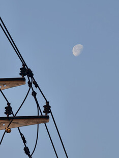 月下电线杆