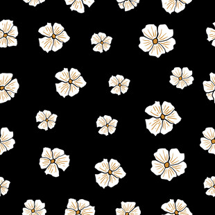 黑色背景上的白色花朵图案