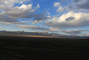 蓝天白云下的广袤原野