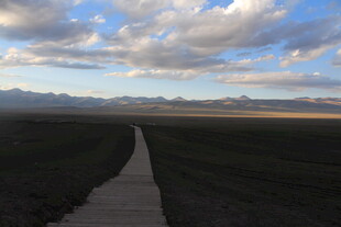 旷野中的延伸小路