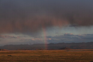 草原上空的绚丽彩虹