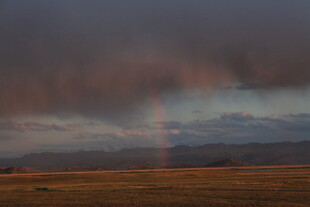 草原上空的梦幻彩虹