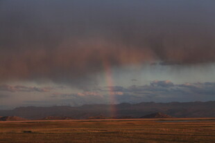 草原上空的绚丽彩虹