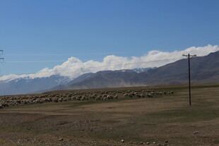 草原牧场景色远眺
