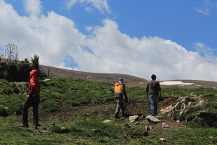 户外徒步者在山间行进
