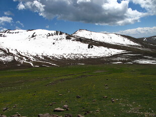 雪山下的翠绿草原风光