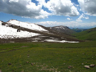 高山雪景与绿野风光