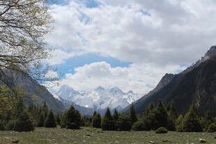 山间草原与远处雪山美景