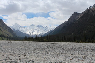 雪山下的开阔山地景观