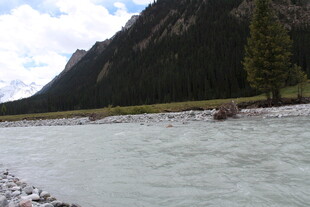 山间河流与岸边树木景观