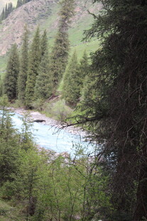 山林间的清澈溪流