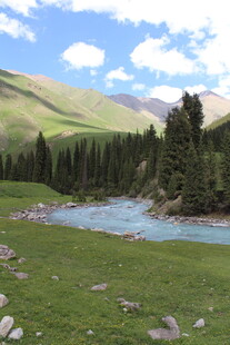 山间溪流旁的葱郁美景