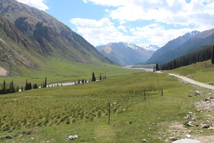 山间绿野中的蜿蜒小路