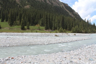 山间清澈河流与葱郁林木