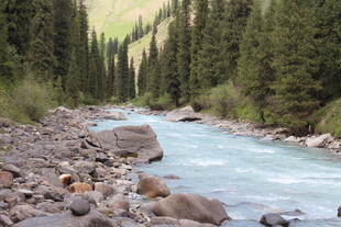 山间溪流 绿意环绕的美景