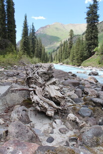 山间嶙峋溪流旁的自然景